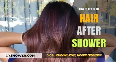 Post-Shower Secrets: Achieve Lustrous, Shiny Hair in Simple Steps