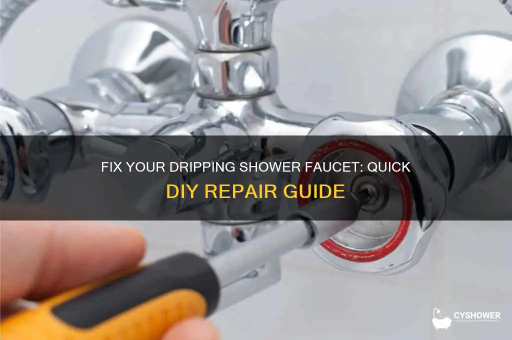 how to get shower faucet to stop dripping