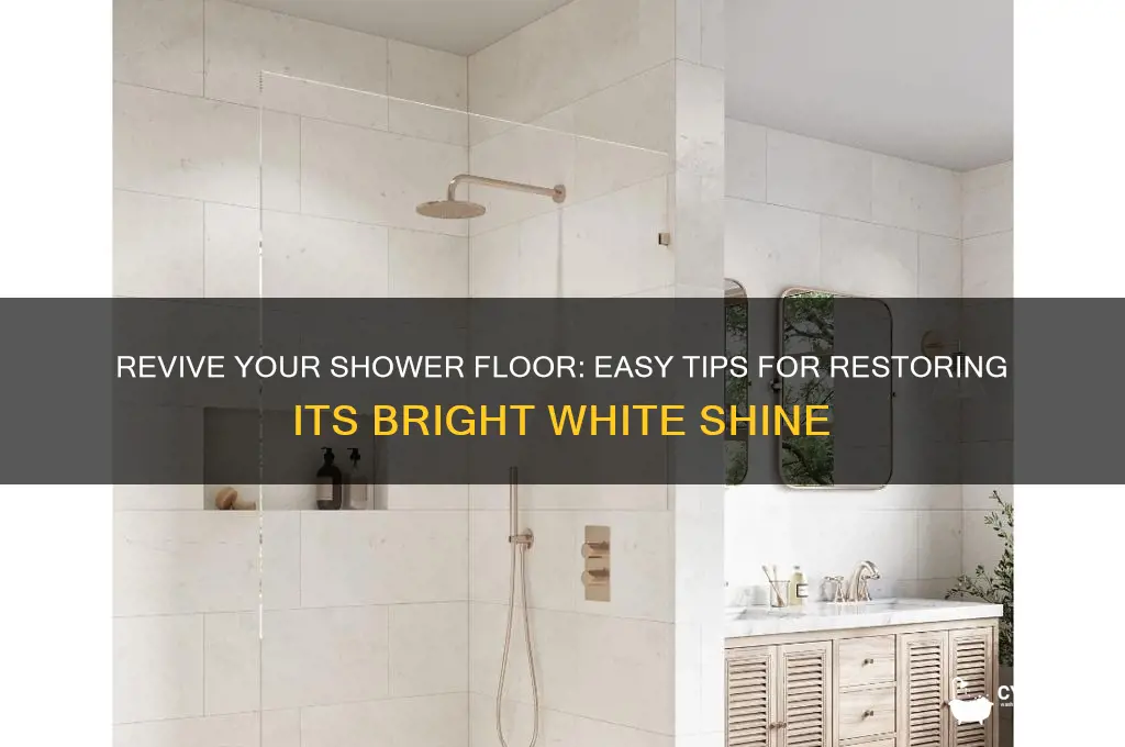 how to get shower floor white again