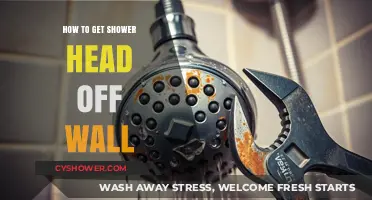 Easy Steps to Remove Your Shower Head from the Wall