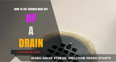 Effective Tips to Remove Shower Mud Clogs from Your Drain