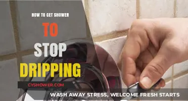 Fix Your Dripping Shower: Quick and Easy DIY Solutions
