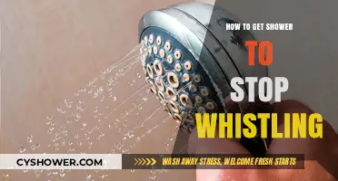 Stop the Shower Whistle: Quick Fixes for a Quieter Bath Time