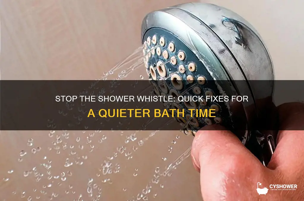 how to get shower to stop whistling