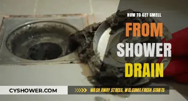 Eliminate Shower Drain Odors: Quick Fixes for a Fresh Bathroom