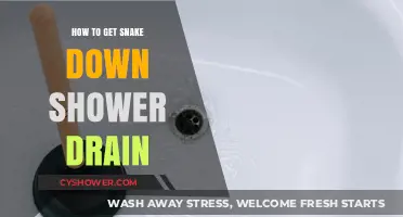 Snake Down the Drain: Quick Fixes for Shower Clogs