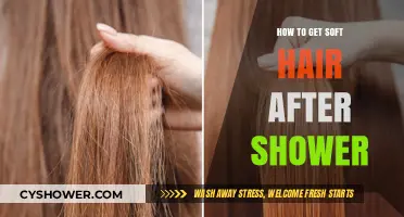 Achieve Silky Smooth Hair: Post-Shower Tips for Soft, Shiny Locks