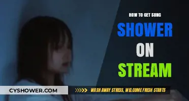Mastering Song Shower Streaming: Tips for Seamless Live Performances