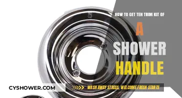 Easy Steps to Remove and Replace Your Shower Handle Trim Kit