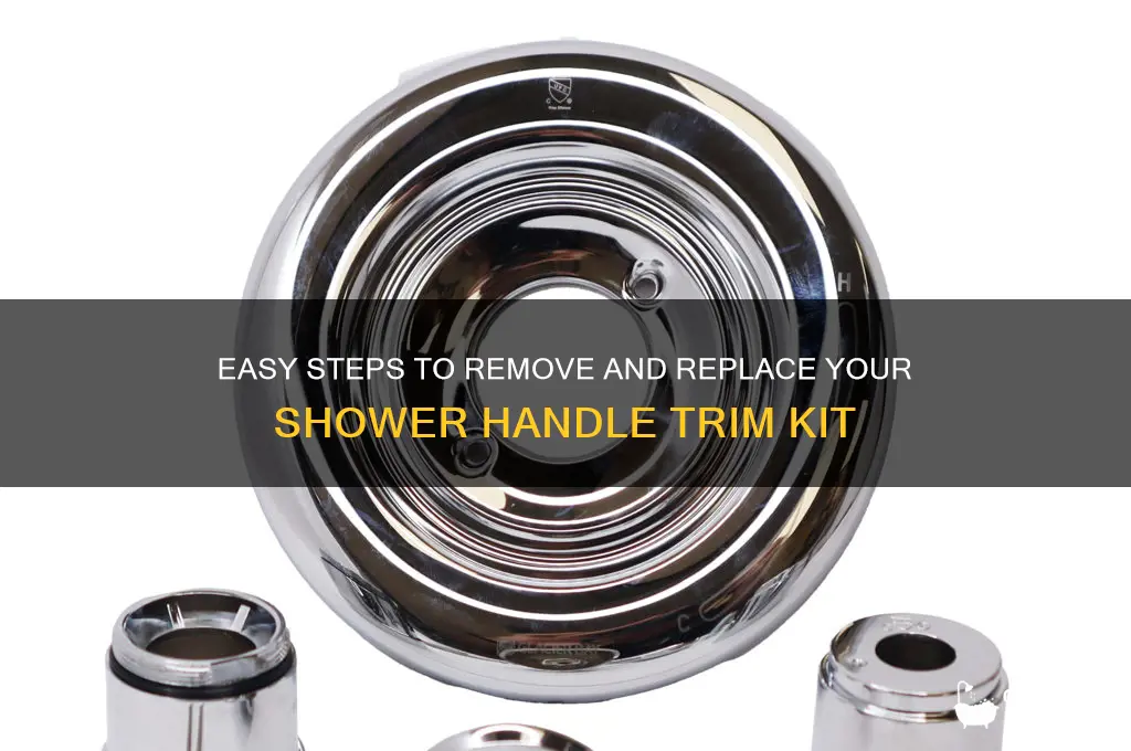 how to get teh trim kit of a shower handle