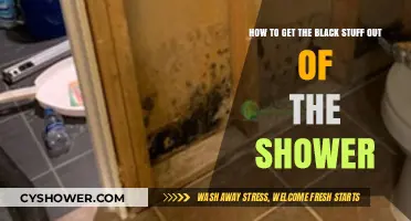 Effective Ways to Remove Black Mold and Grime from Your Shower