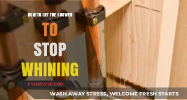 Stop the Shower Whine: Quick Fixes for Noisy Shower Valves