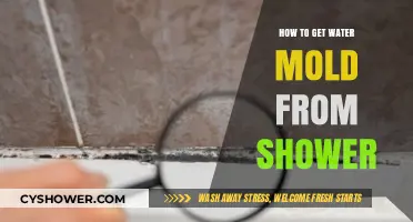 Effective Ways to Remove Water Mold from Your Shower