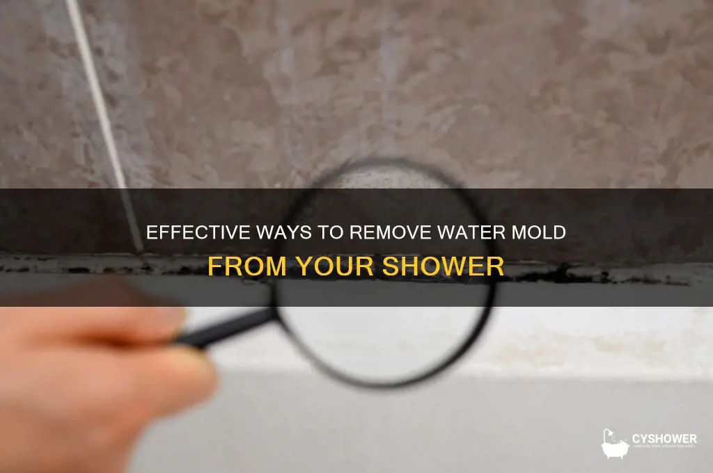 how to get water mold from shower