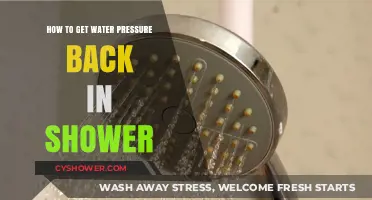 Restore Shower Power: Quick Fixes to Boost Low Water Pressure