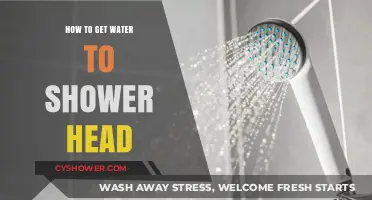 Fix Low Water Flow: Tips to Get Water to Your Shower Head