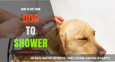 Easy Tips for Stress-Free Dog Showers: A Step-by-Step Guide