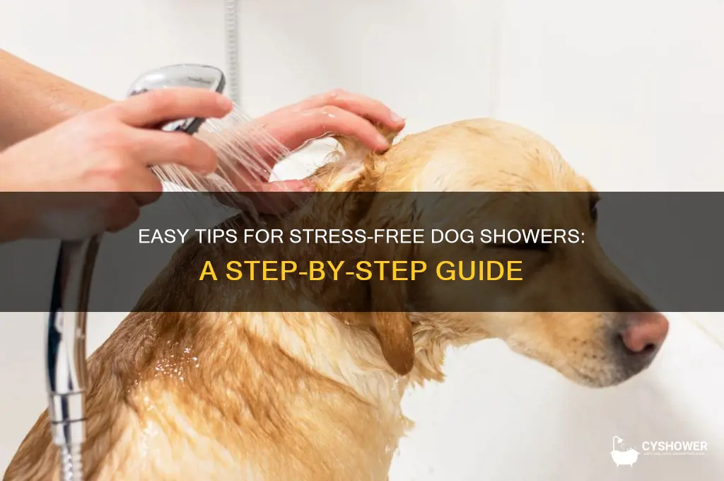 how to get your dog to shower