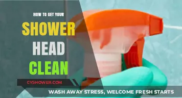 Effective Tips for Cleaning Your Shower Head Easily and Quickly