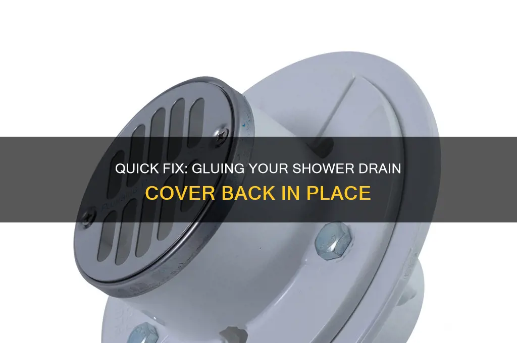 how to glue back shower drain cover