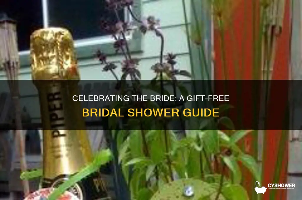 how to have a bridal shower without gifts