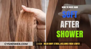 Achieve Silky Smooth Hair: Post-Shower Tips for Soft, Shiny Locks