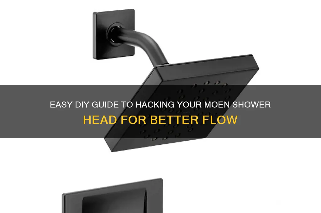 how to havk moen shower head