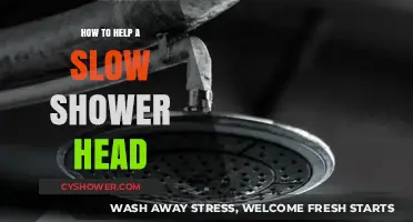 Revive Your Slow Shower Head: Quick Fixes for Better Water Flow