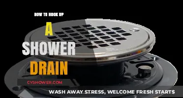 Easy Steps to Install and Connect Your Shower Drain Properly