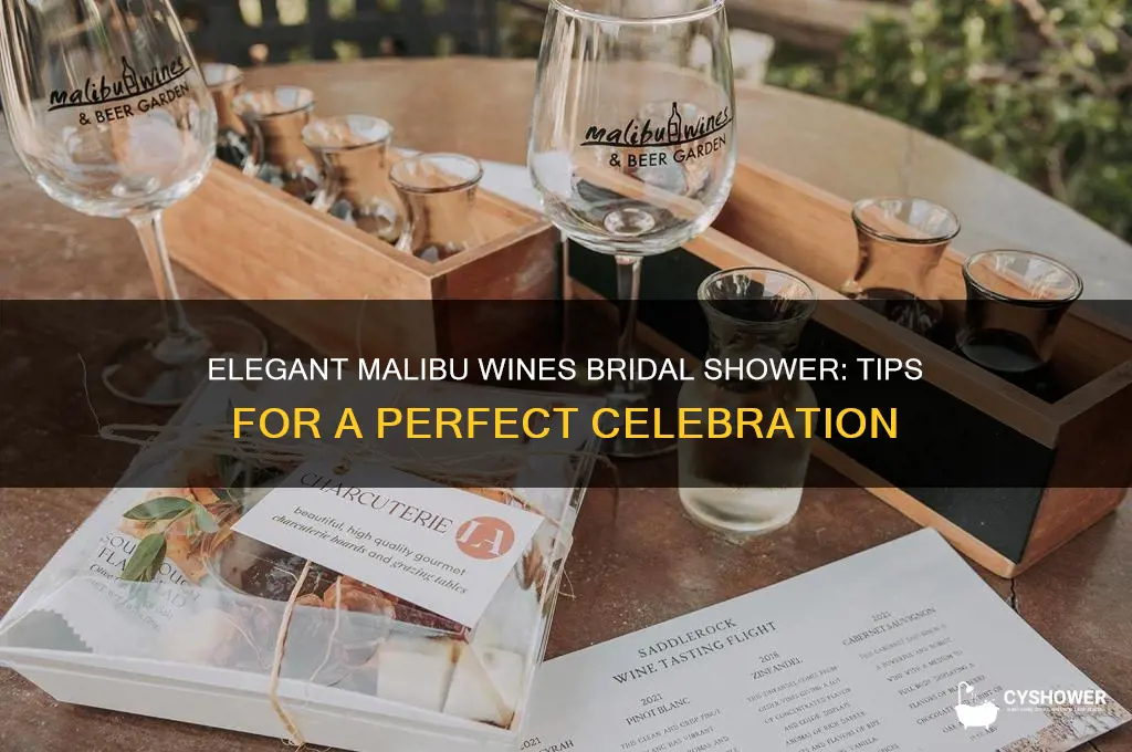 how to host a malibu wines bridal shower