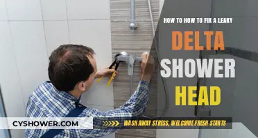 Quick Fix: Repairing a Leaky Delta Shower Head Easily