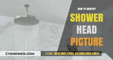 Spotting the Right Shower Head: A Visual Identification Guide