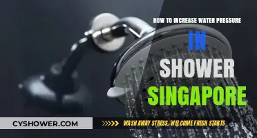 Boost Your Shower Experience: Tips to Increase Water Pressure in Singapore