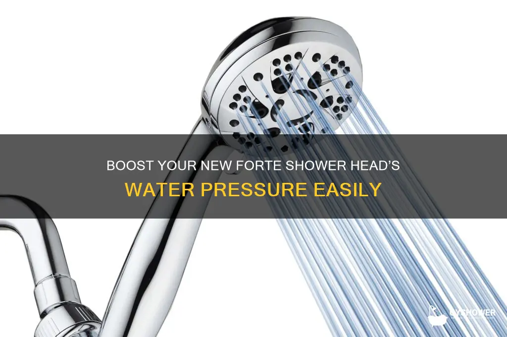 how to increase water pressure on new forte shower head