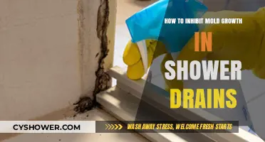 Prevent Mold in Shower Drains: Effective Tips for a Clean Bathroom