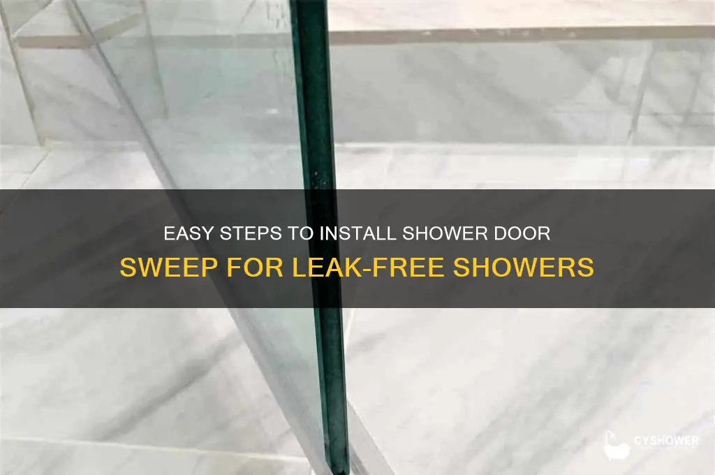 how to inslate shower door sweep