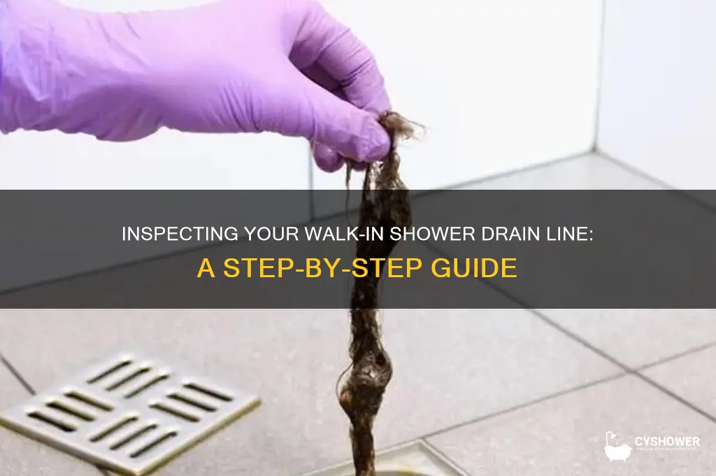 how to inspect a drain line in a walk-in shower