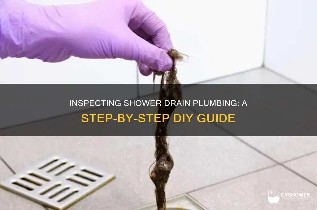 how to inspect shower drain plumbing