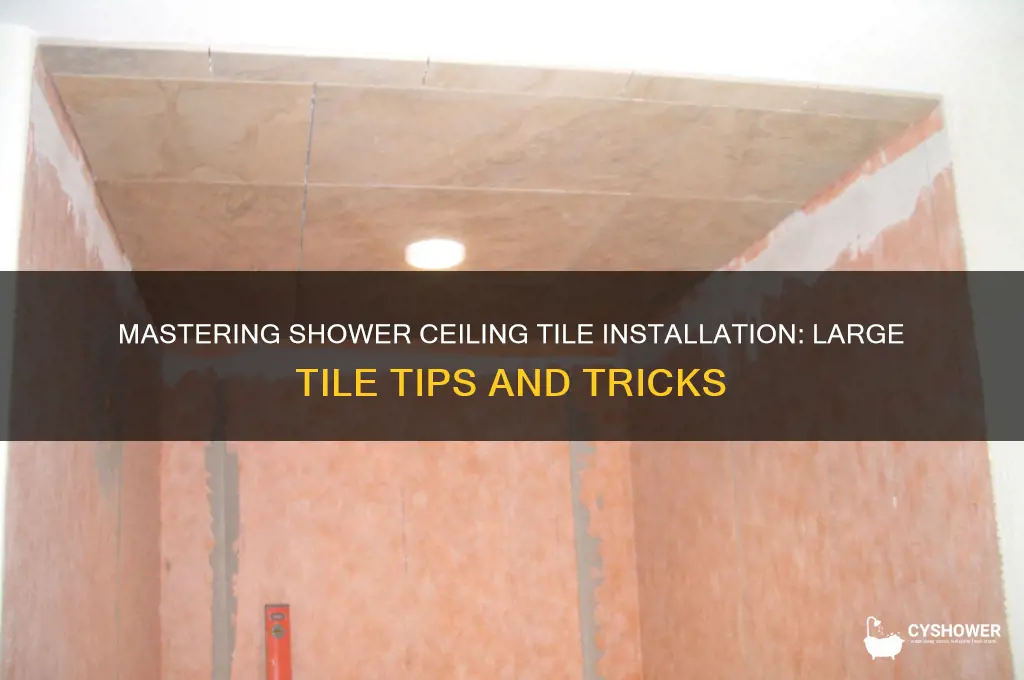 how to install large tile on shower ceiling