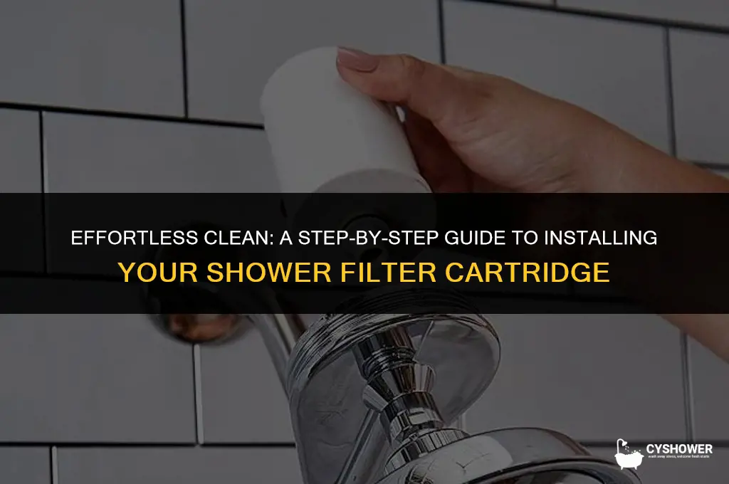 how to install shower filter cartridge