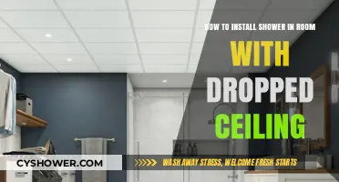 Dropped Ceiling Dilemma: A Step-by-Step Guide to Shower Installation