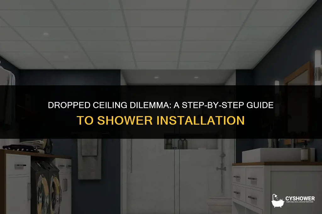 how to install shower in room with dropped ceiling