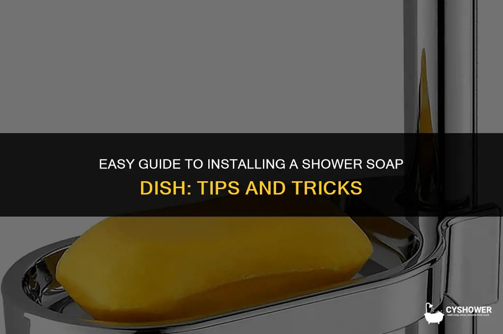 how to install shower saop dish