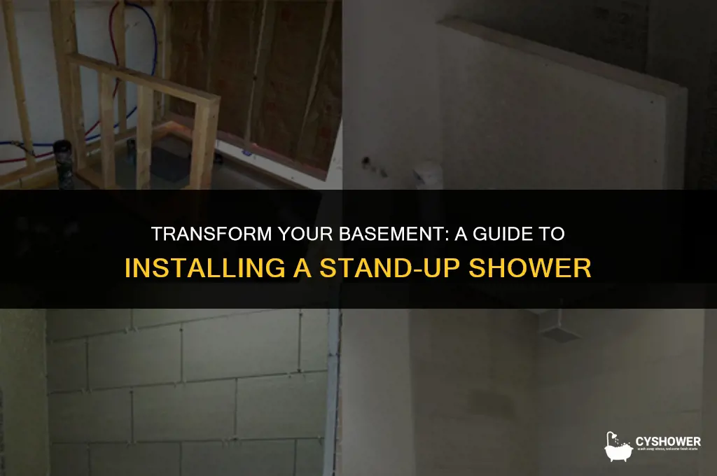 how to install stand up shower in basement