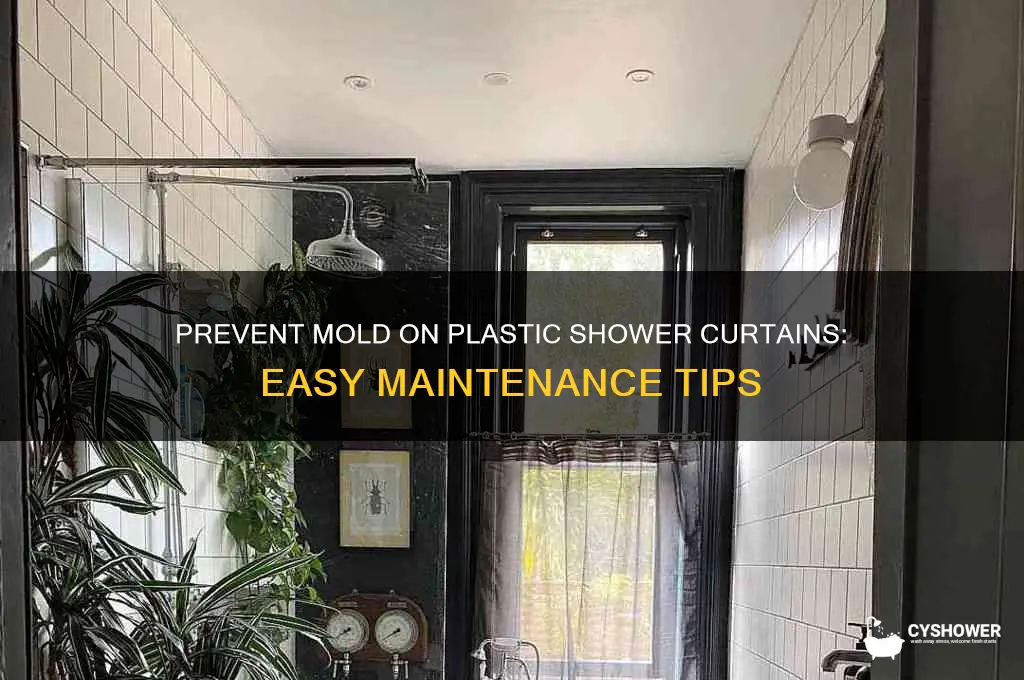 how to keep a plastic shower curtain from molding
