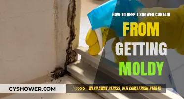 Prevent Mold on Shower Curtains: Simple Tips for a Clean Bathroom