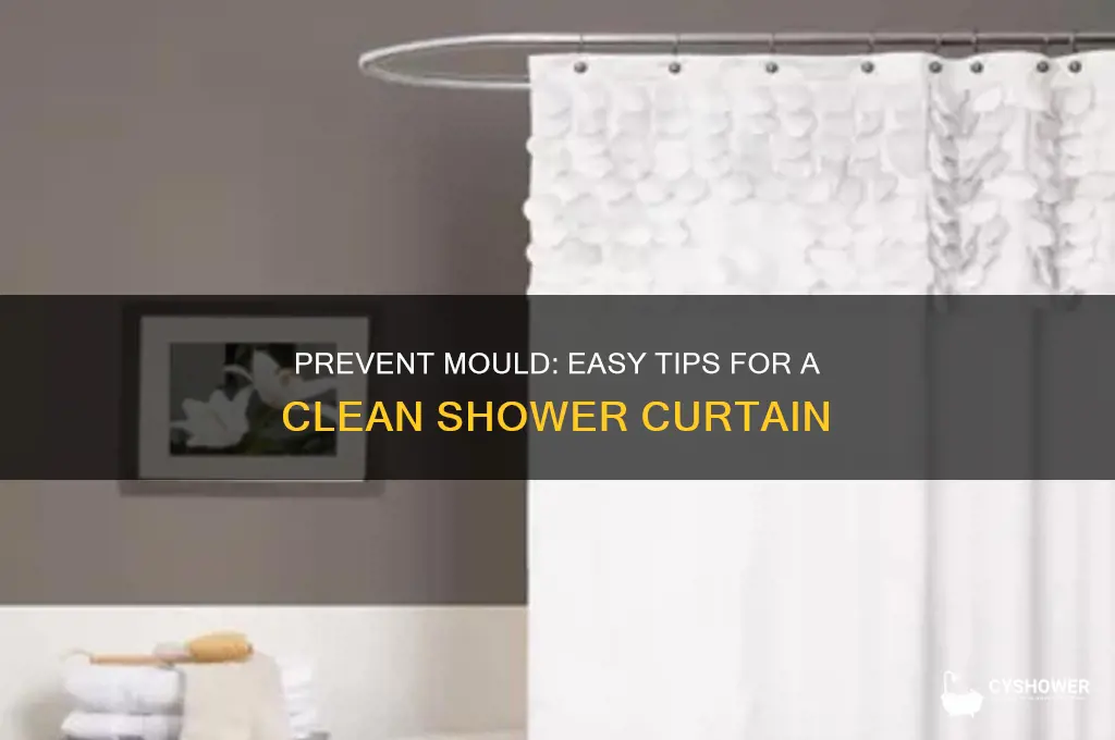 how to keep a shower curtain mould free