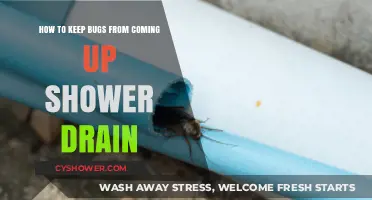 Prevent Bugs in Shower Drain: Effective Tips for a Pest-Free Bathroom