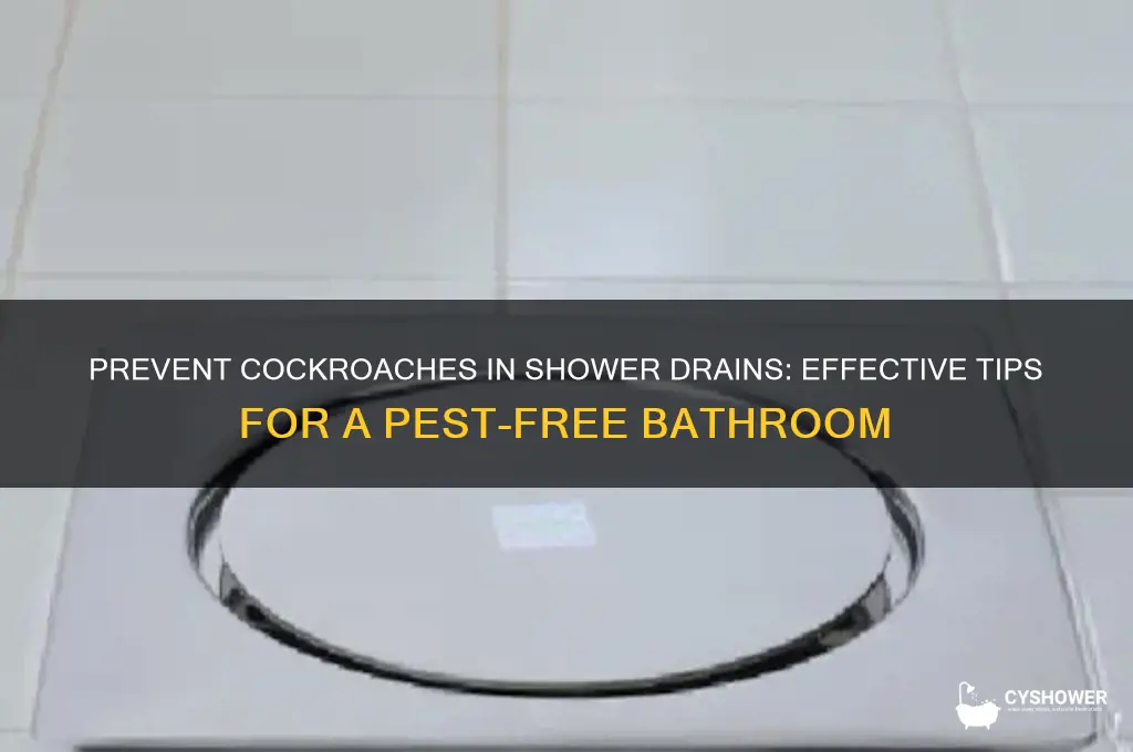 how to keep cockroaches out of shower drain