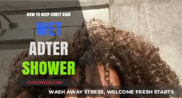 Curly Hair Care: Simple Tips to Keep Curls Wet Post-Shower